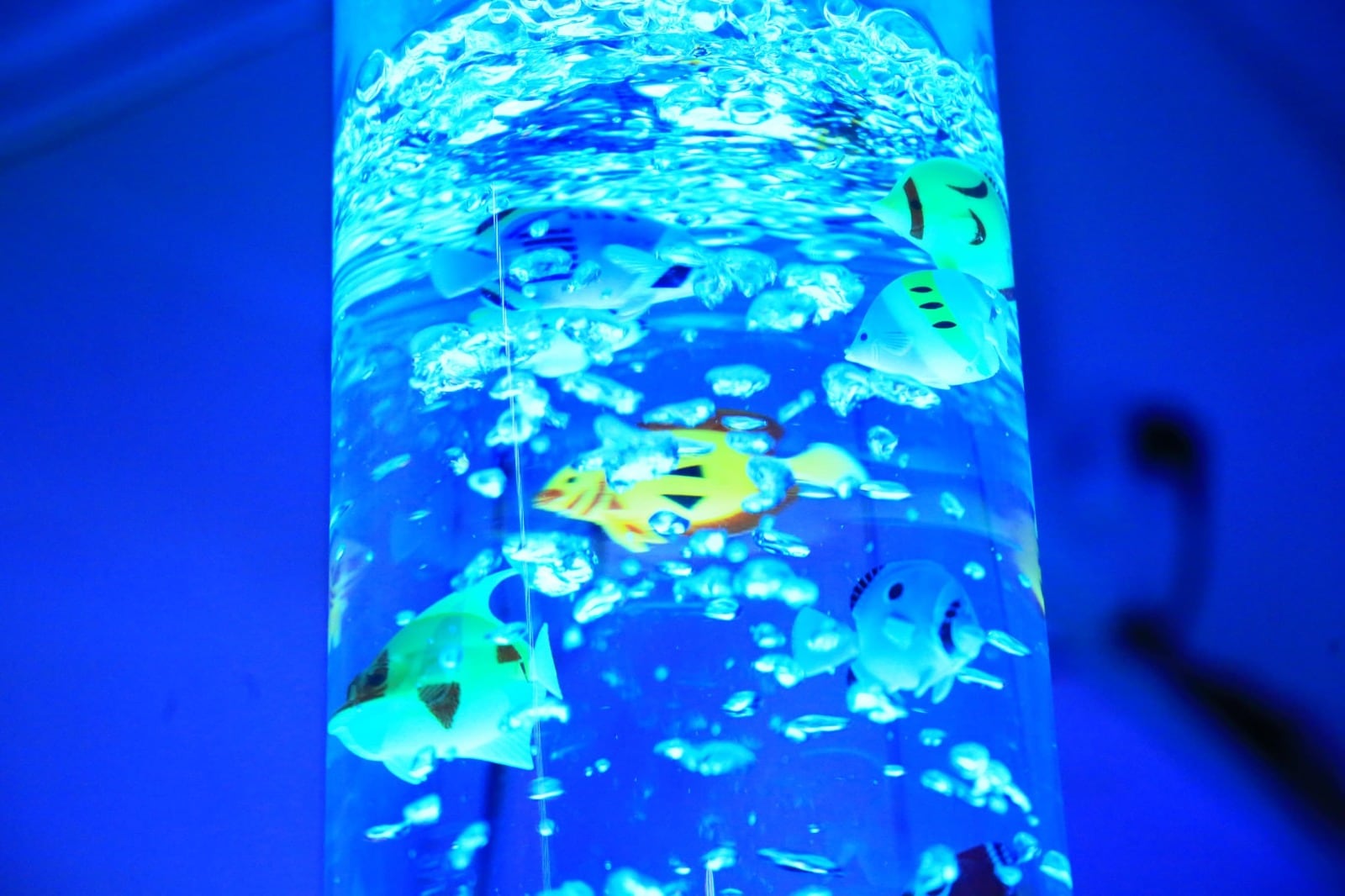 Javier May inaugura aula Multisensorial en Cunduacán