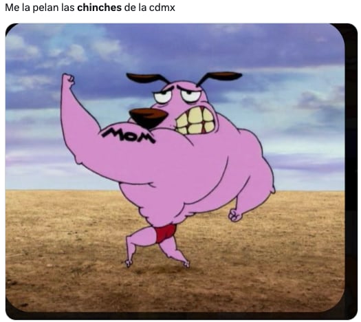 Plaga de chinches de la UNAM en CDMX desata los memes ansiosos de usuarios