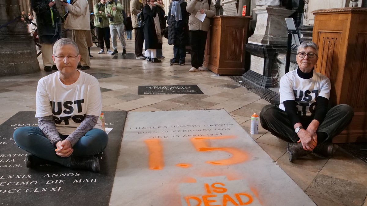 ¿Por qué vandalizaron la tumba de Charles Darwin en Londres? Activistas expusieron poderosos motivos