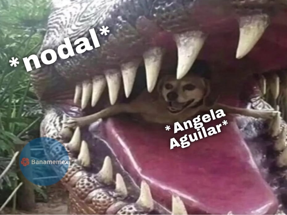 Memes de Christian Nodal por su forma de ligar a las ‘chavitas bien’ como Ángela Aguilar