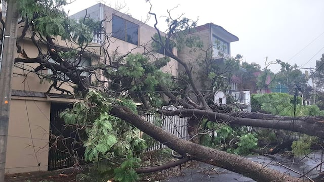 Coyoacán atiende emergencia por lluvias