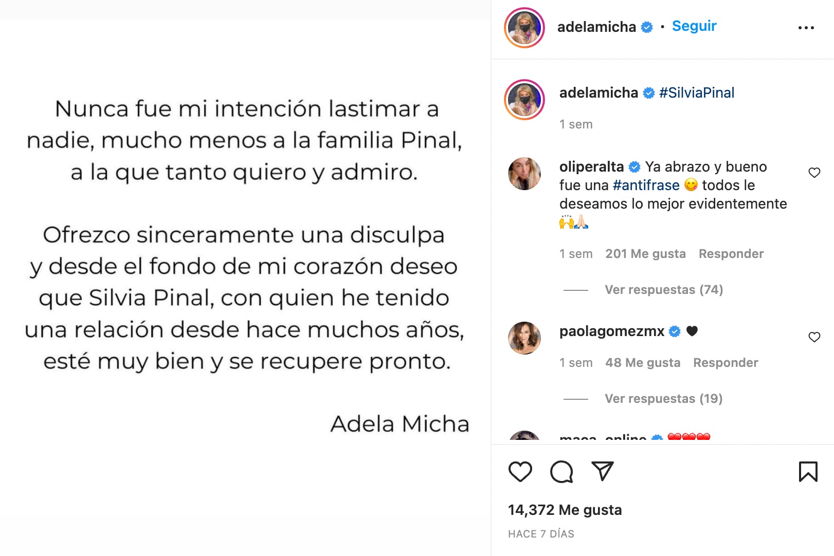 Disculpa de Adela Micha