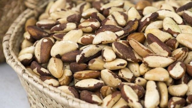 ¿Qué pasa si consumo semilla de Brasil? Estos son sus letales efectos adversos