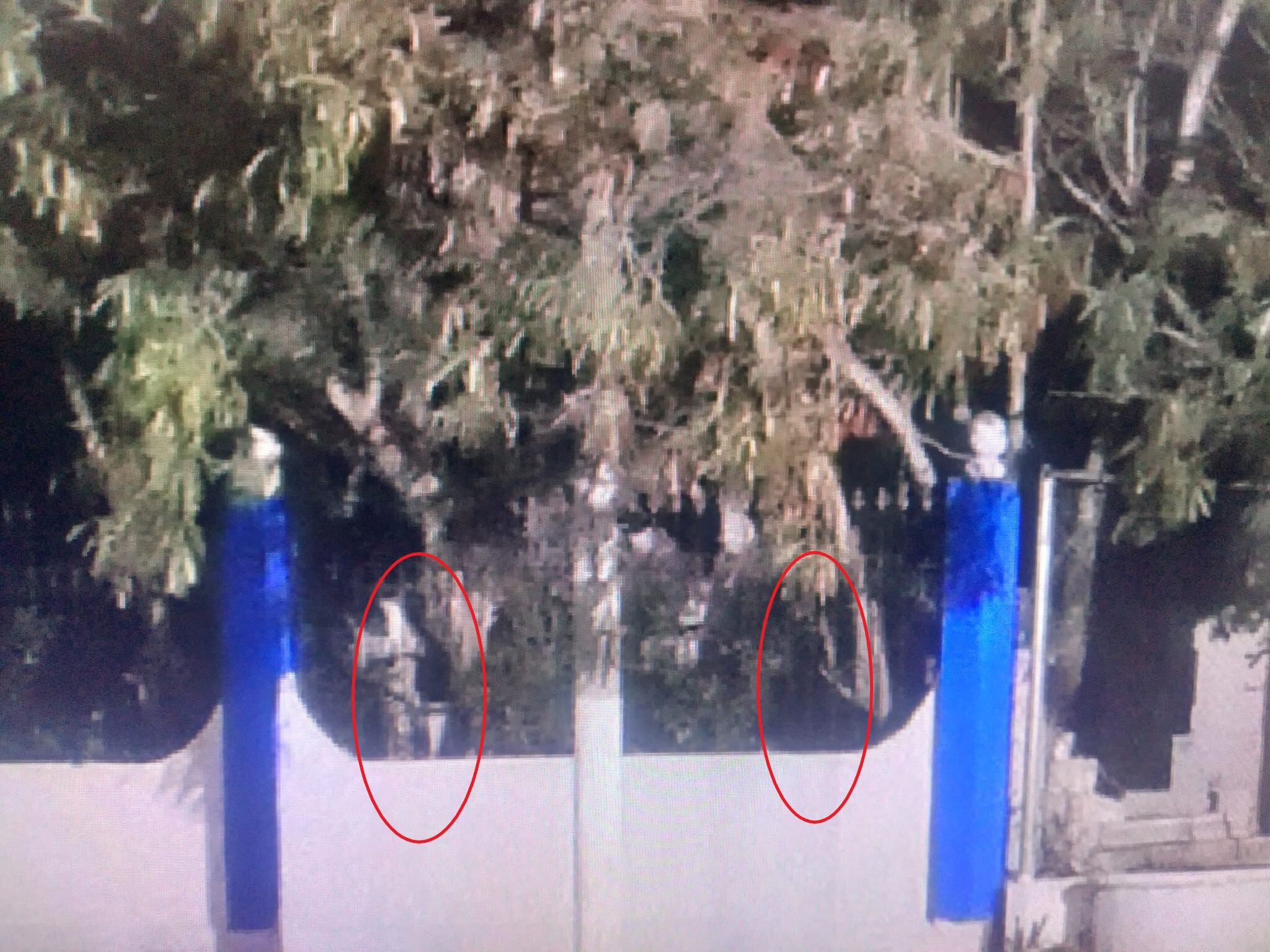 Fantasmas captados en panteón