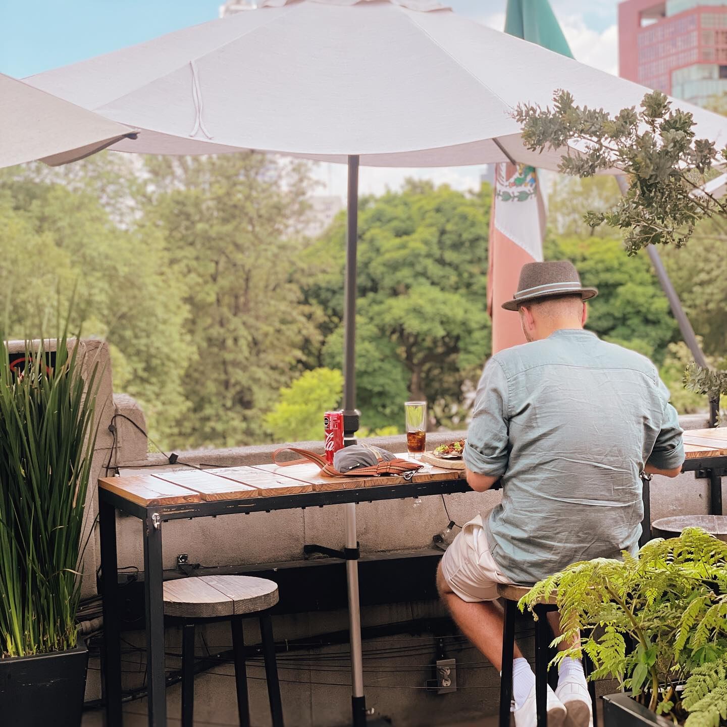 La Azotea de Barrio Alameda
