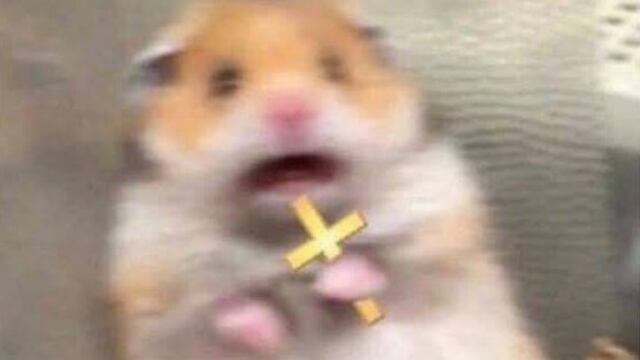 Memes del simulacro nacional 2025