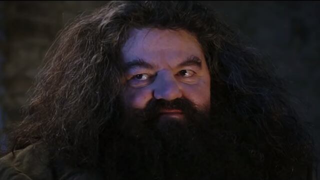 Hagrid
