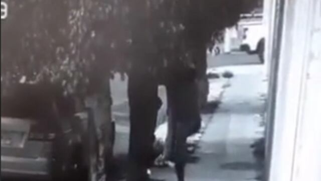 Se esconde en árbol