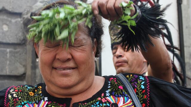 Crean guía para preservar recetas y métodos de curación mayas.