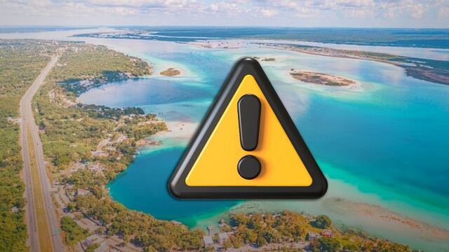 Laguna de Bacalar, en serios problemas por esta especie invasiva