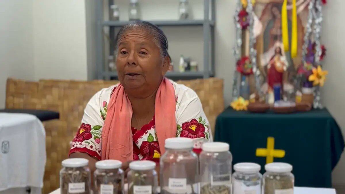Cofepris autoriza primer consultorio de medicina tradicional indígena de la mano del IMSS-Bienestar