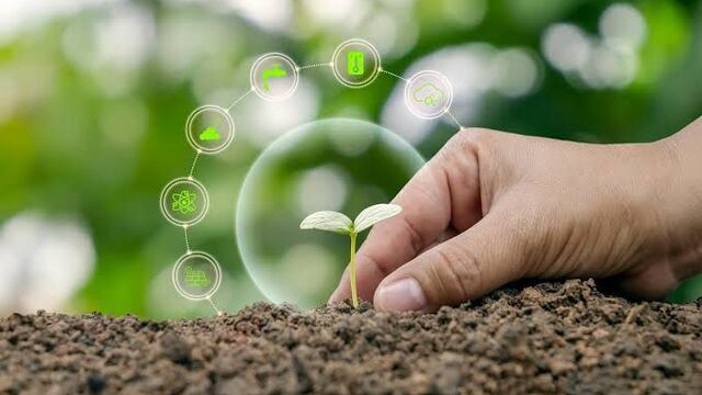 Modelo MAZO incentiva seguridad alimentaria