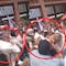 VIDEO: Adán Augusto López suelta codazo durante jaloneo en acto de campaña