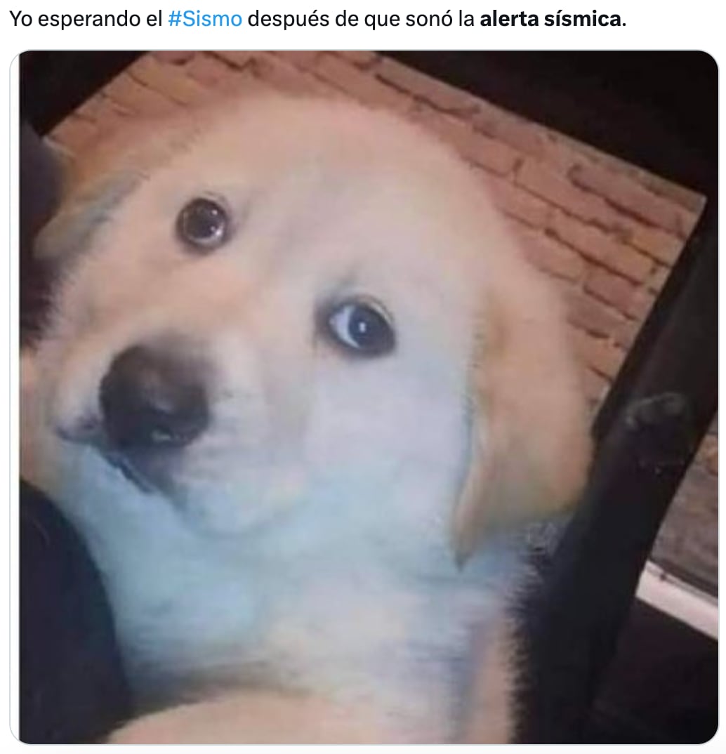 Memes se desatan tras la alerta sísmica activada por error