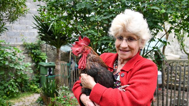 Maurice y Corine Fesseau