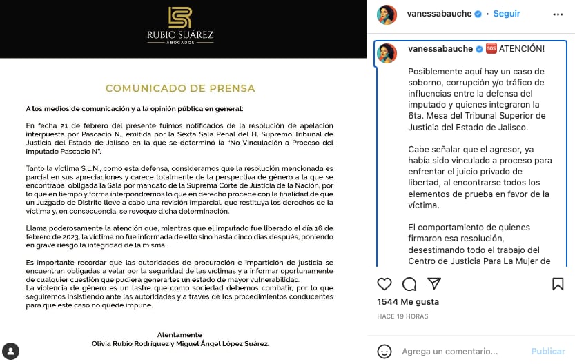 Vanessa Bauche acusa soborno y corrupción en proceso de Pascacio López