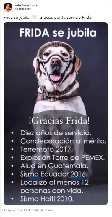 Aseguran que la perrita rescatista Frida se jubiló este 2021