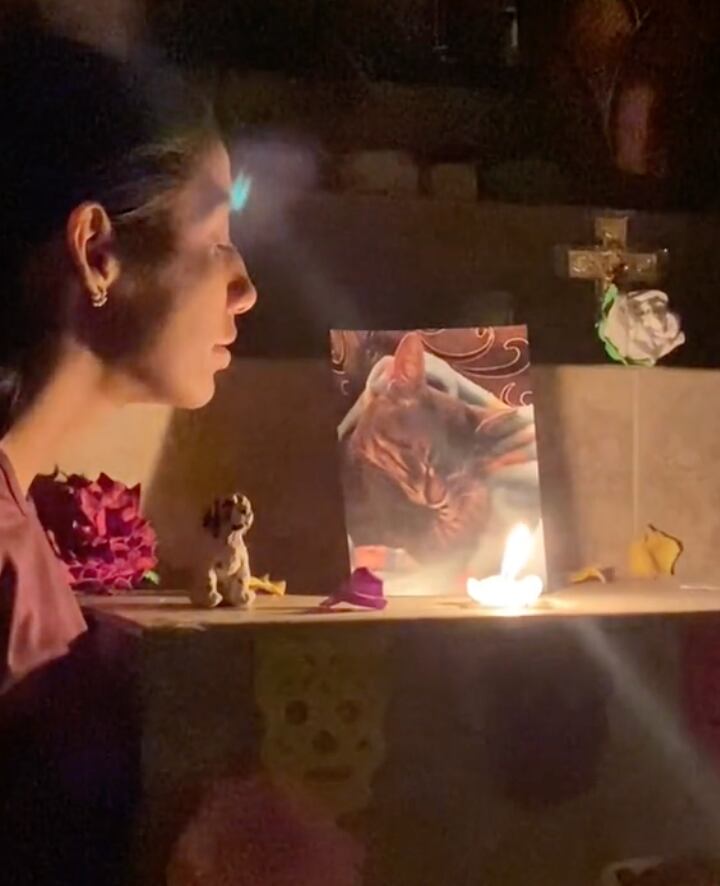 Le prende vela a su gatito por Día de Muertos