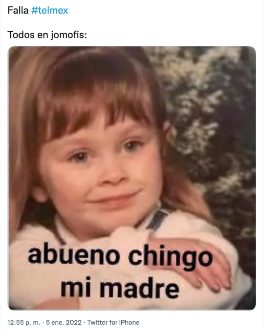 Meme de la caída de Infinitum de Telmex