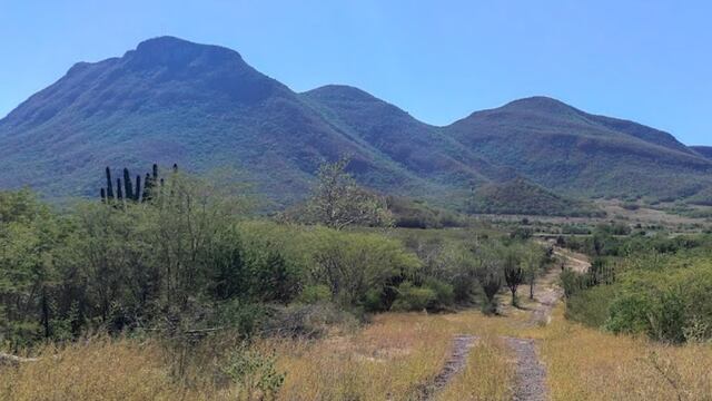 Cerro Carricitos: dirigente del PRD en Sinaloa sufre accidente