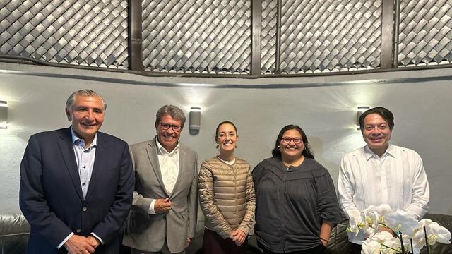 Claudia Sheinbaum Pardo coordinadora de los comités de defensa de la 4T