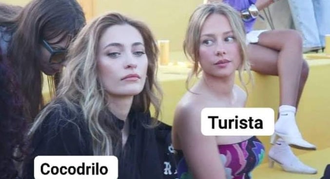 Memes cocodrilo