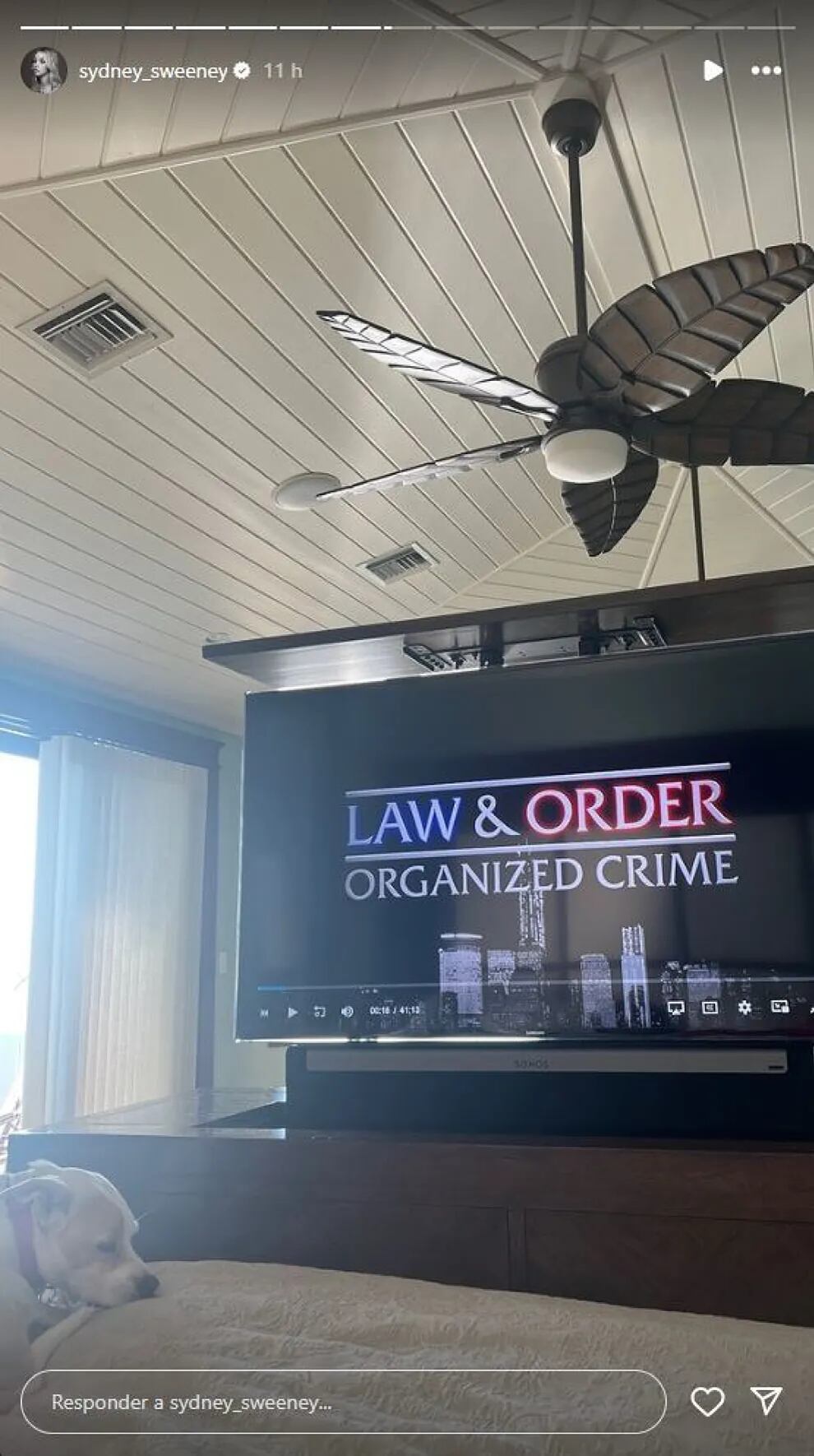 Hasta Sydney Sweeney ve La Ley y el Orden en versión pirata y una foto la exhibe