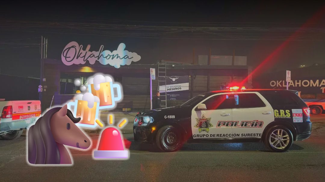 Indignación en Saltillo: multan a bar por alcoholizar a un caballo