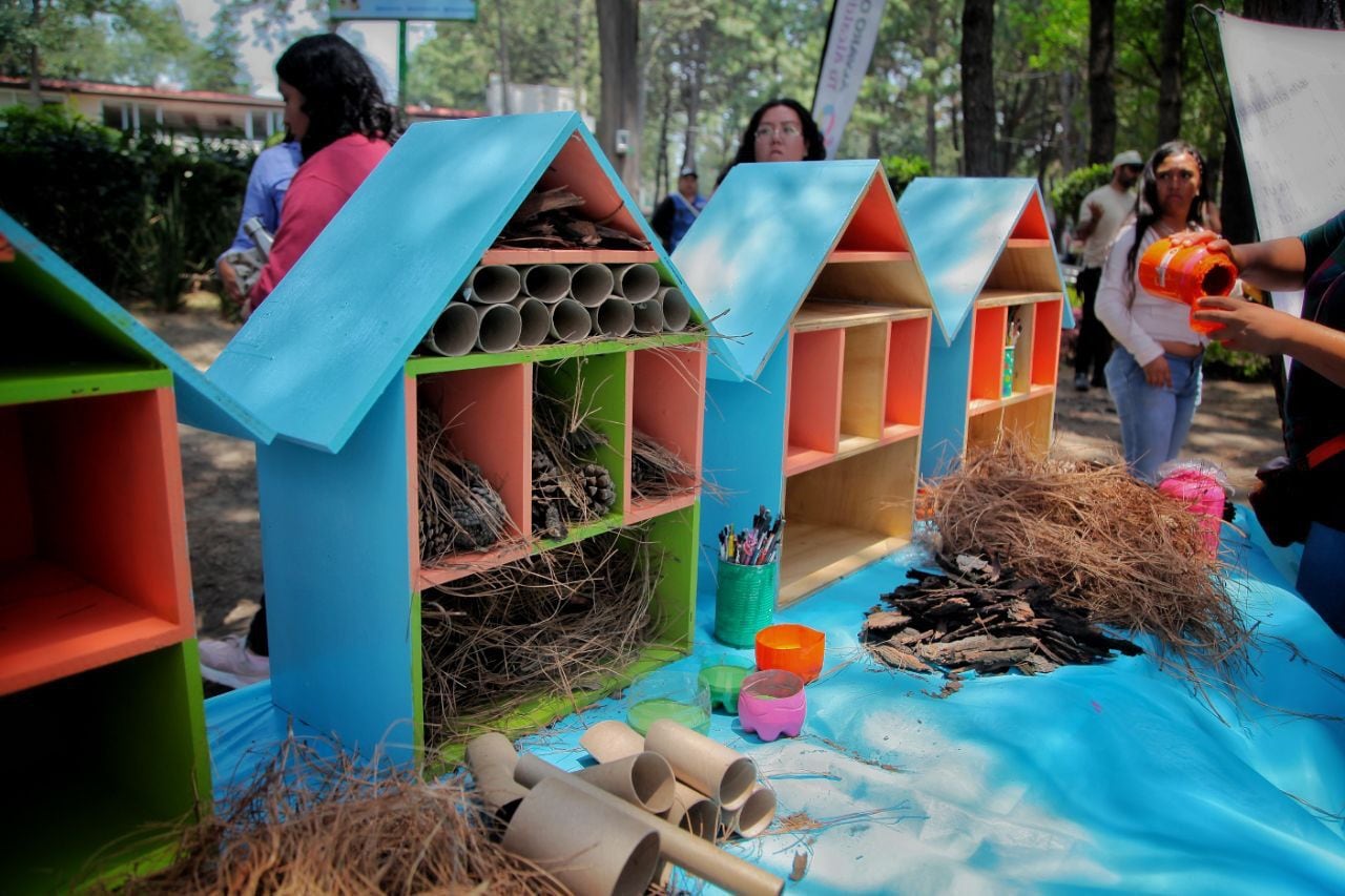 Hoteles para insectos