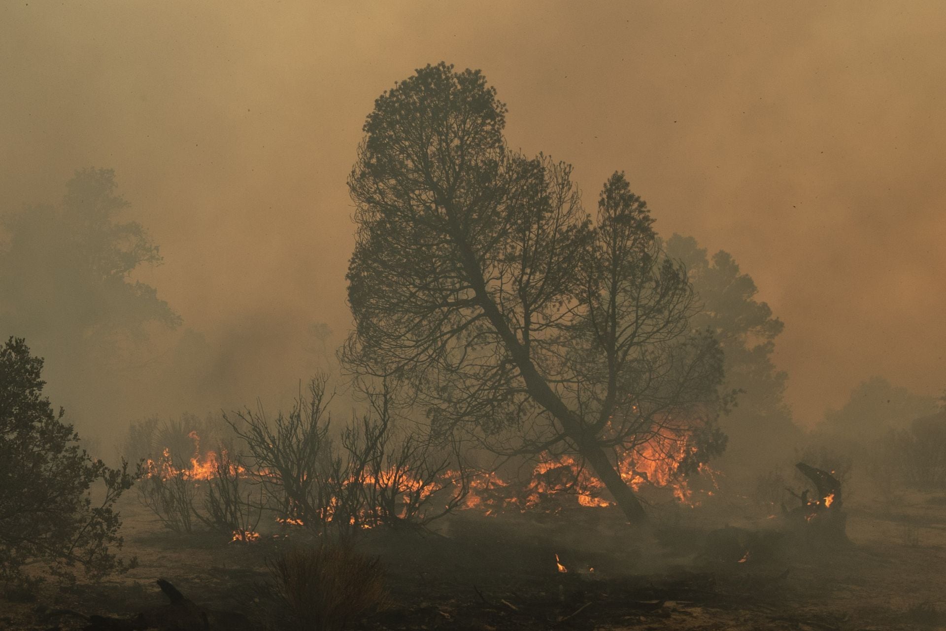 México ha combatido 14 incendios forestales y tiene 17 pendientes