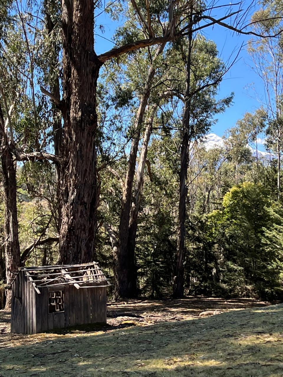 Planta Santa María de Nestlé