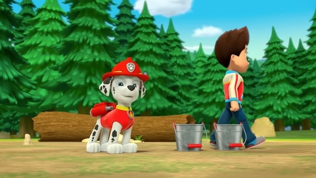 Marshall de Paw Patrol