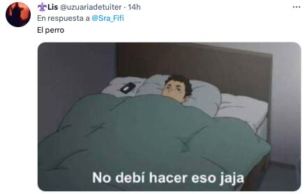 Perro se fue de vago, lo acusan