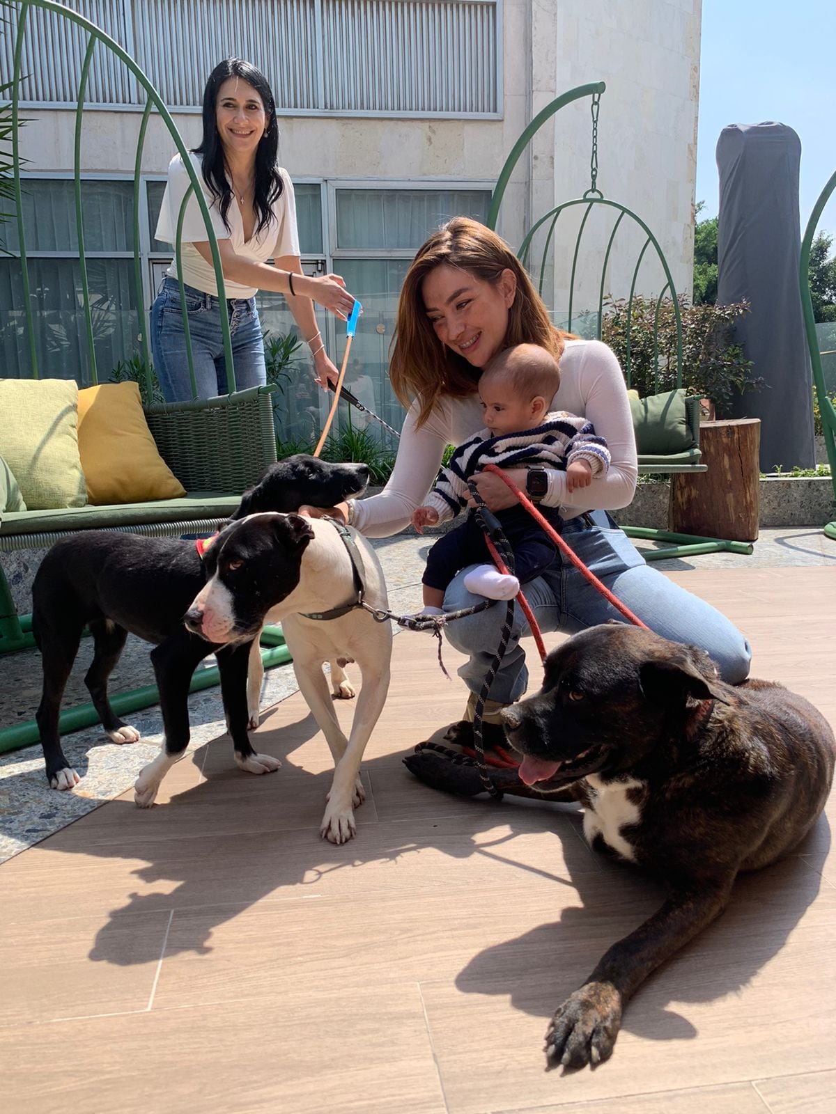 Uber presentó Uber Pet en CDMX
