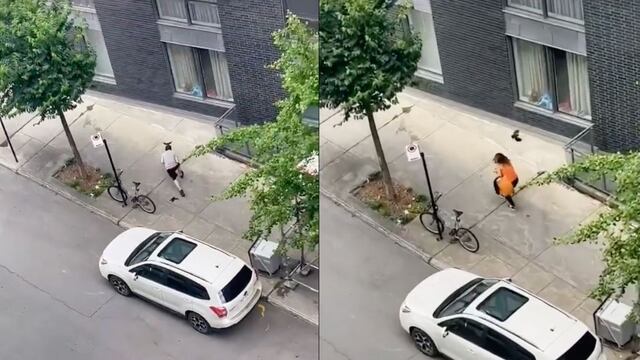 VIDEO: Exhiben en TikTok cómo atacan pájaros a peatones que transitan tranquilamente