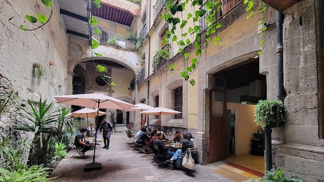 Mandrake Café Zócalo