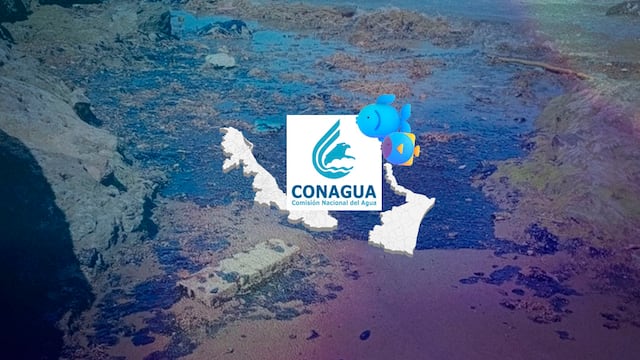 Conagua descarta muerte de peces en por derrame de hidrocarburos
