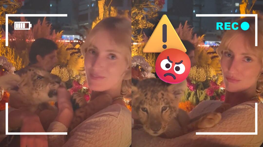 Video de cachorro de león en fiesta de Polanco provoca críticas en redes sociales