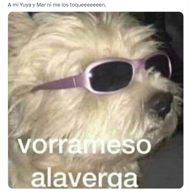 Memes en defensa de Yuya