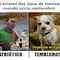 Temblor: 19 de septiembre provoca estos telúricos memes porque ya tenemos miedo de un sismo