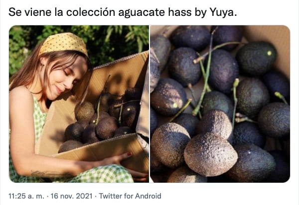 Fans reaccionan a Yuya y su cosecha de aguacates