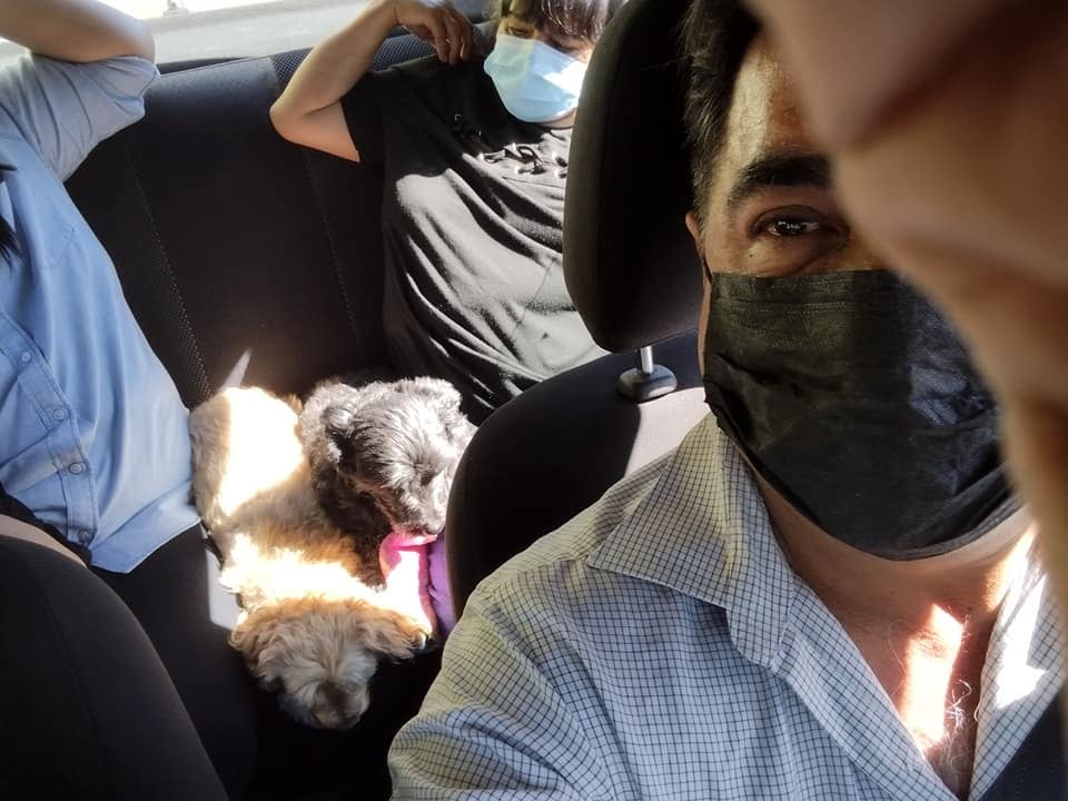 Señor ofrece viajes pet friendly en CDMX y Área Metropolitana