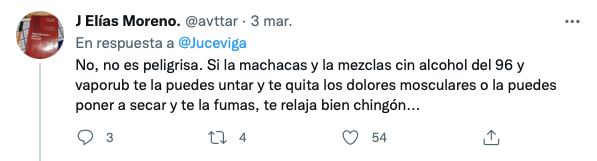 ¿Será peligrosa? La foto de una planta de mariguana y una serpiente se hace viral