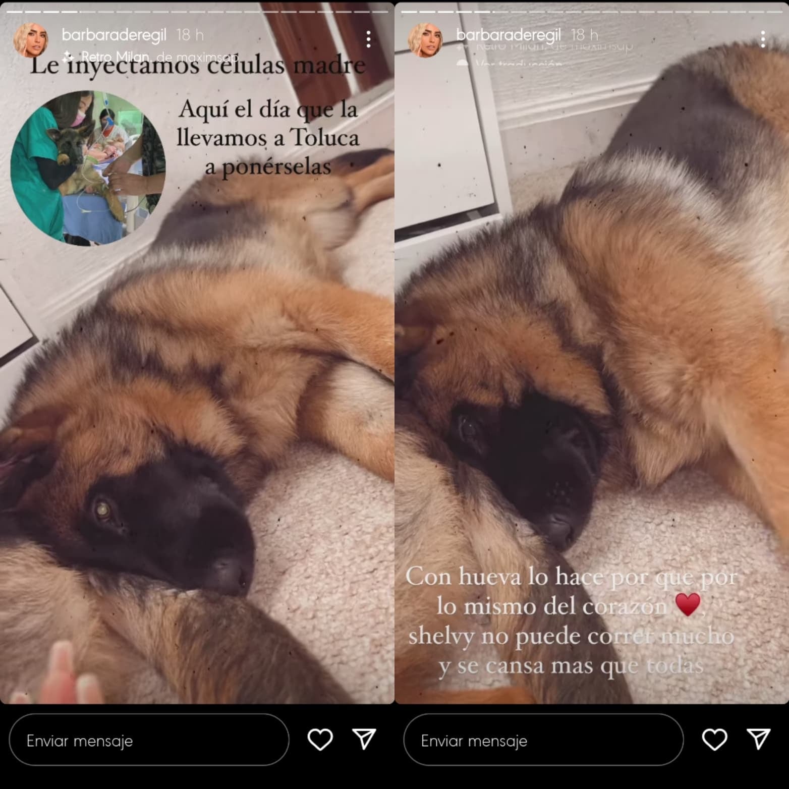 Bárbara de Regil habla sobre su nueva perra Shelvy.