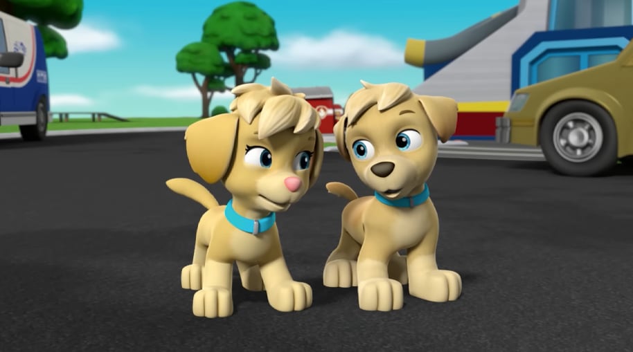 Ella y Truck de Paw Patrol