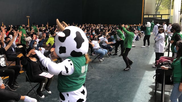 Vaca Vacuna y Oso Pandemio