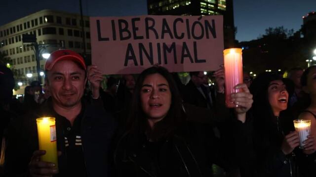 Velada por los toros en Palacio de Bellas Artes