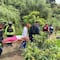 No le tocaba: Abuelita cae por barranca de 20 metros y vive para contarla