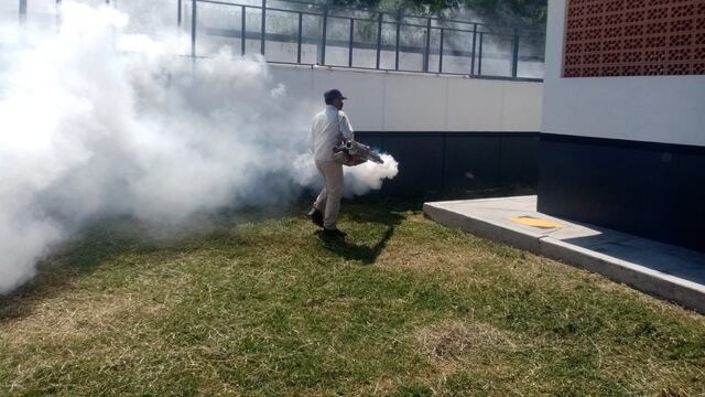 Salud mantiene campaña para prevenir el dengue en Guerrero