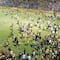 Violencia en el futbol: Grave pelea entre barras en el Clásico de Honduras